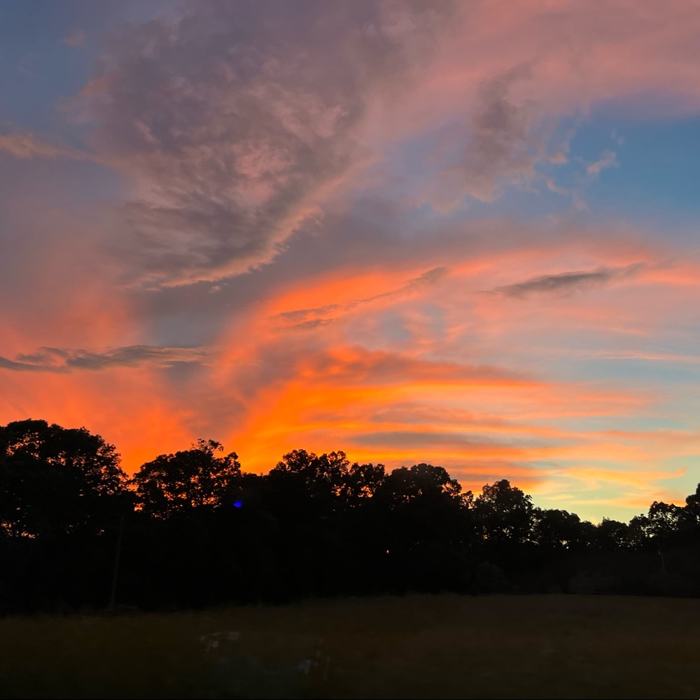 Meet your Posher, Kristen